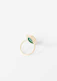 Ara Ring - michael-dev